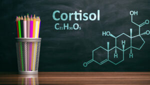 Cortisol Explained